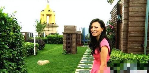 张庭夫妇是谁爆料的视频,娱乐圈背后的惊人真相 第2张 张庭夫妇是谁爆料的视频,娱乐圈背后的惊人真相 第2张